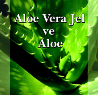 "Aloe Vera Gel and Aloe” Book – Prof. Dr. D. Okan YIllar